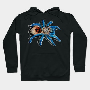 Green Bottle Blue Tarantula Hoodie